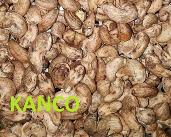 Cashew Nut NW